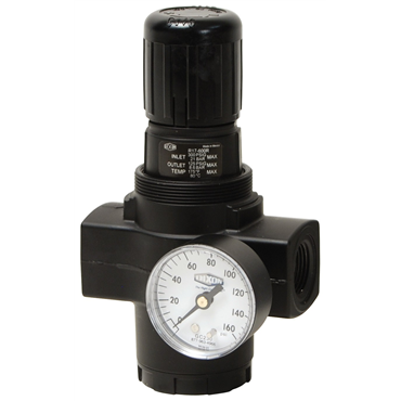 Dixon Valve & CouplingR17-800RG